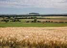 Loi Duplomb : entrave à l'agroécologie... et à la démocratie Loi Duplomb : entrave à l'agroécologie... et à la démocratie