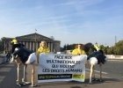 Campagne Amnesty International : les députés favorables à une loi
