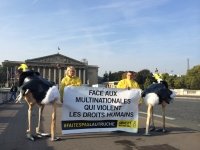 Campagne Amnesty International : les députés favorables à une loi