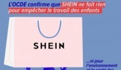 SHEIN : 2 ans après ma saisine, un rapport sans appel SHEIN : 2 ans après ma saisine, un rapport sans appel